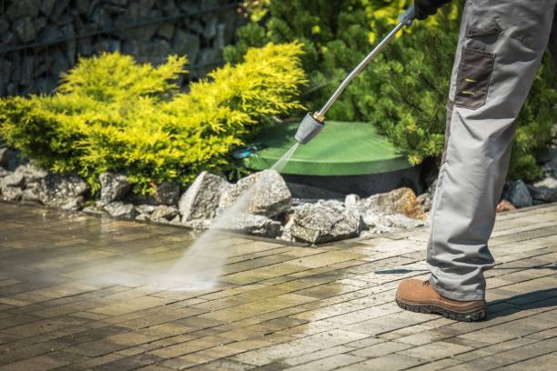 Best Factory Floor Cleaning  in Ligh, NE
